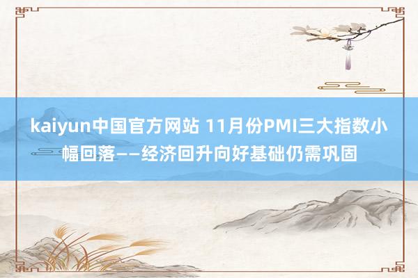 kaiyun中国官方网站 11月份PMI三大指数小幅回落——经济回升向好基础仍需巩固