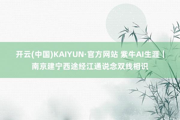 开云(中国)KAIYUN·官方网站 紫牛AI生涯｜南京建宁西途经江通说念双线相识