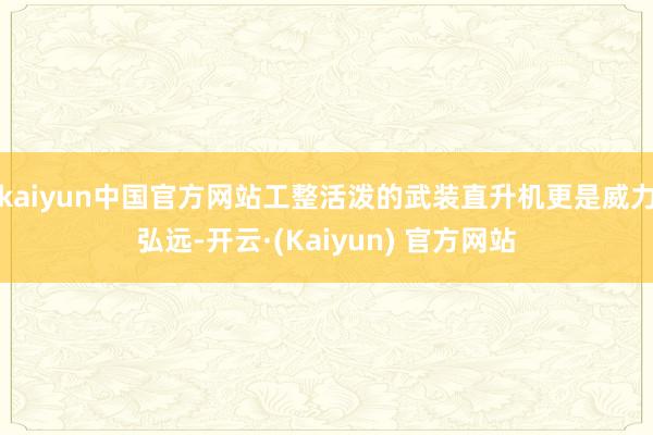 kaiyun中国官方网站工整活泼的武装直升机更是威力弘远-开云·(Kaiyun) 官方网站